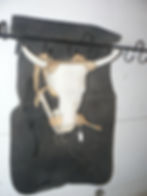 Roping Steer Head
