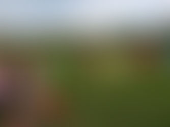 Atletické tréninky se rozšiřují - aktualizováno