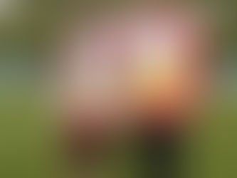 Nejpilnější mlaďoš!