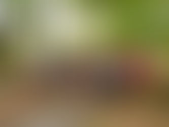 ONLINE Přihlášky na Běh na Lahti spuštěny!