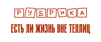 Рисунок3.png