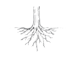 A plant fibrous root system, made of sim