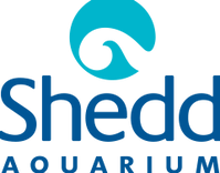 Shed Logo.png