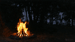 Fireside Chat (Speaker TBD)