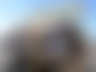 Belfast Book Festival 2026