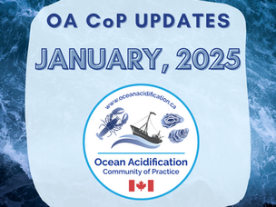 January 2025 Updates