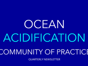 QUARTERLY NEWSLETTER - September 2021