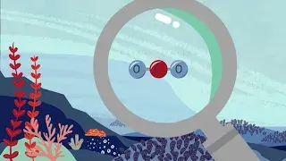 an animation of a CO2 molecule under a magnifying glass with an ocean seascape in the background