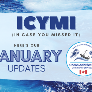 January 2021 Updates