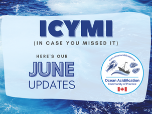 June 2021 Updates