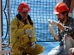 New paper: Current CaCO3 dissolution at the seafloor caused by anthropogenic CO2