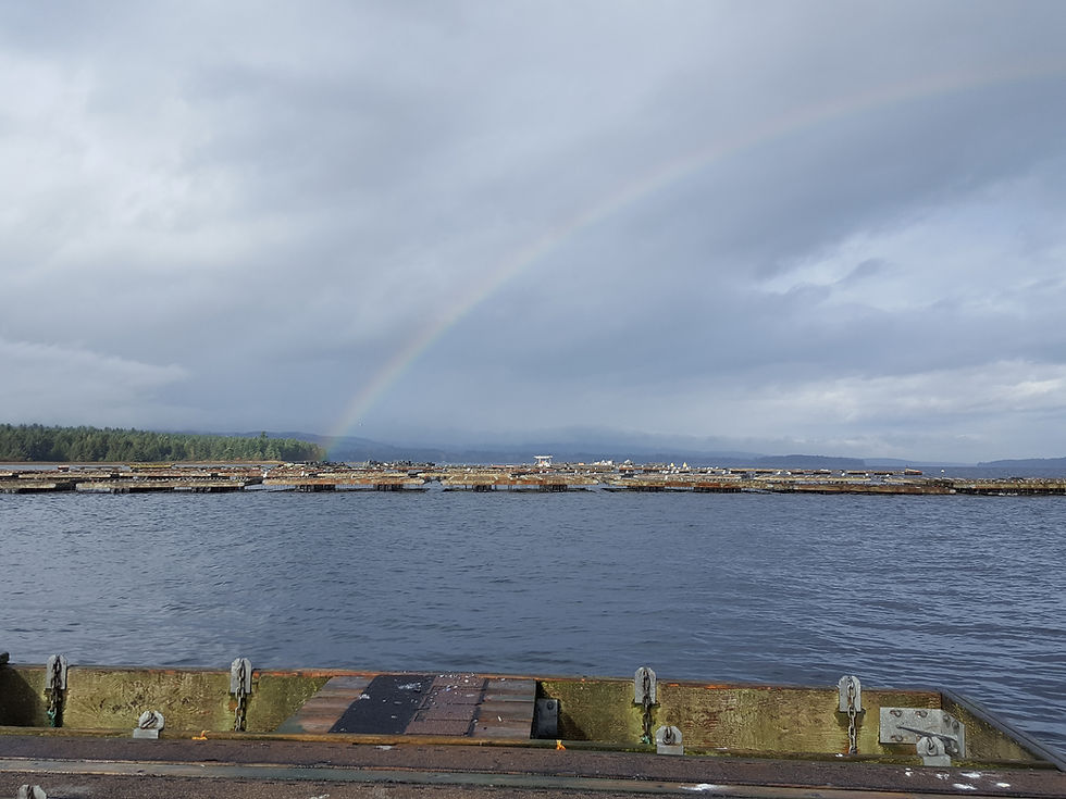 View of Baynes Sound from a dock. Water in the forefront with shoreline in the background and a rainbow in the sky