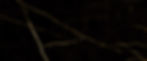pedra facil fundo.jpg