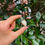 Thumbnail: Mother of Pearl  Sterling Silver Pendant
