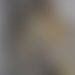 Impressões Criativas: desperte o artista em você com a placa gel