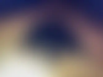 Potential Bear Sighting