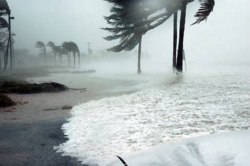 The Island’s Catastrophe, by Riley Birkett-Willis