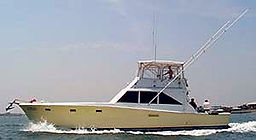 52 SportsFish_edited.jpg