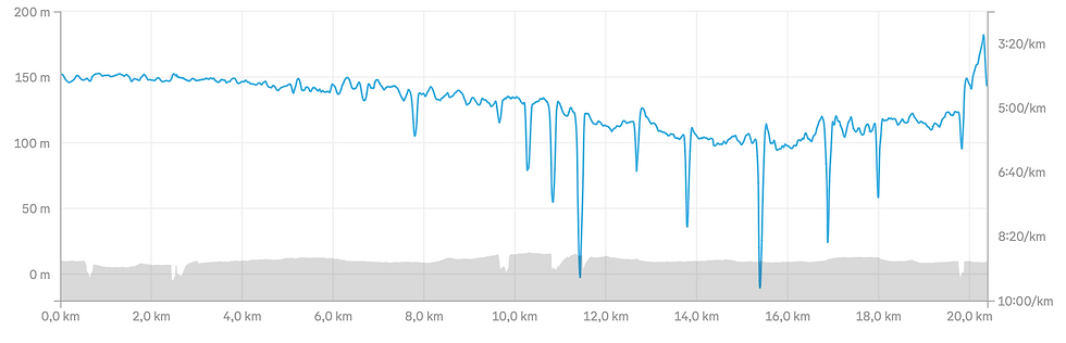 Manque de durabilité sur Ironman 70.3 Nice