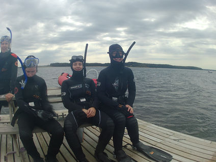 Snorkeltur til Nørre Rev