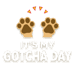 103229-Social-CTS-Social-Giphy-Sticker-Bundle---8-Its-My-Gotcha-Day-r1v1.gif