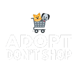 103229-Social-CTS-Social-Giphy-Sticker-Bundle---2-Adopt-Dont-Shop-r1v1.gif