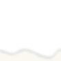 Untitled-1.png