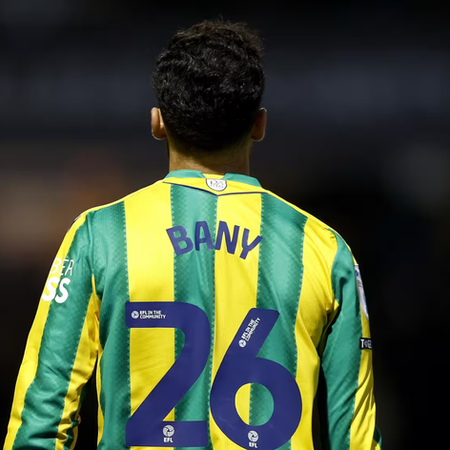 Baggies' Bany set for four-month layout