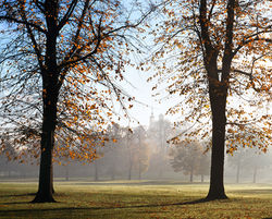 Cognitive Behavioural Therapy (CBT)