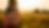 flag background.png