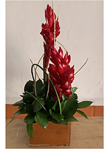 CATÁLOGO CENTROS DE MESA.png
