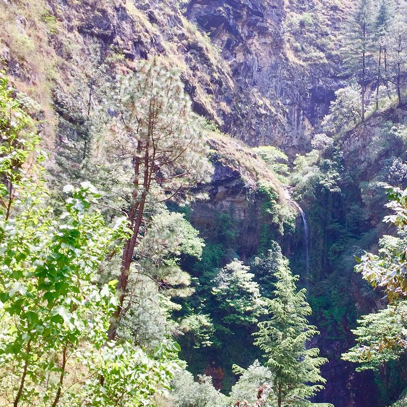 الصورة المصغرة: gushani view