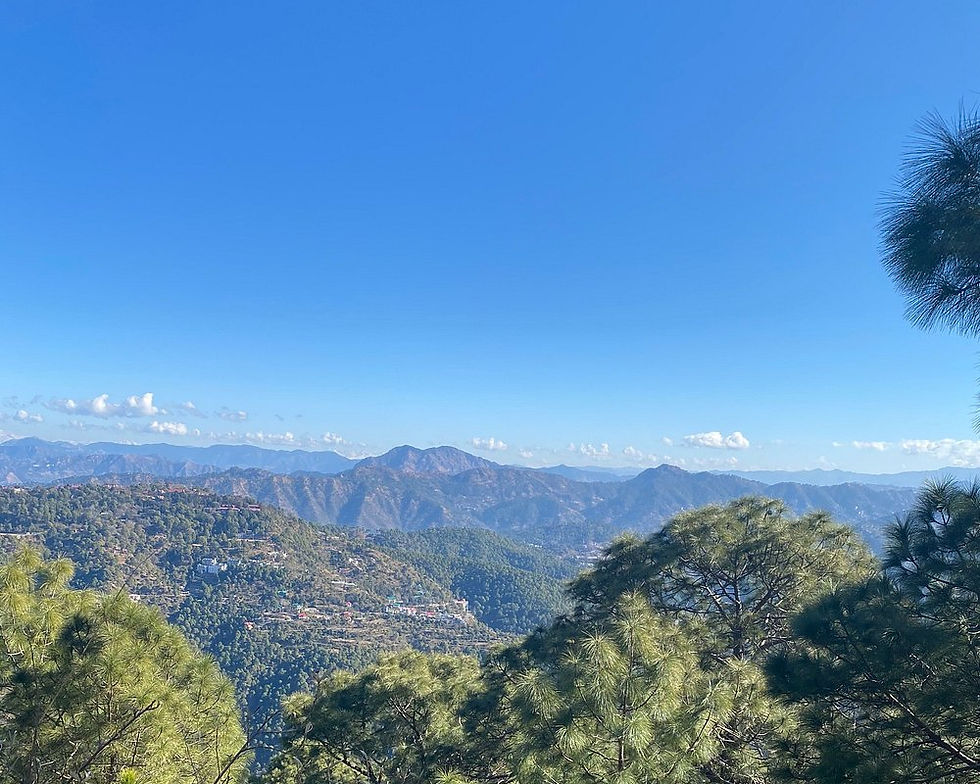 الصورة المصغرة: mamki point