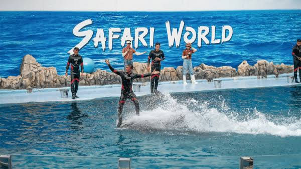 Miniature : safari world