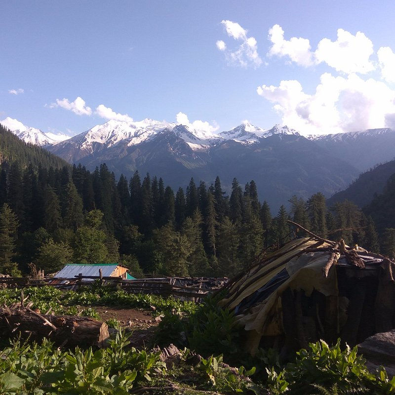 Tosh kullu