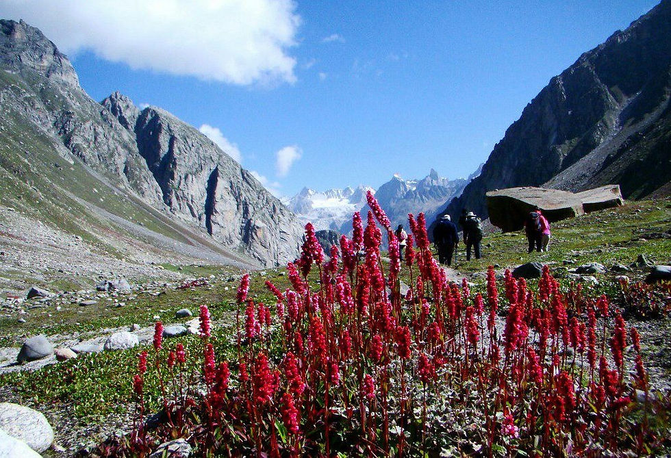 Thumbnail: hampta pass kullu