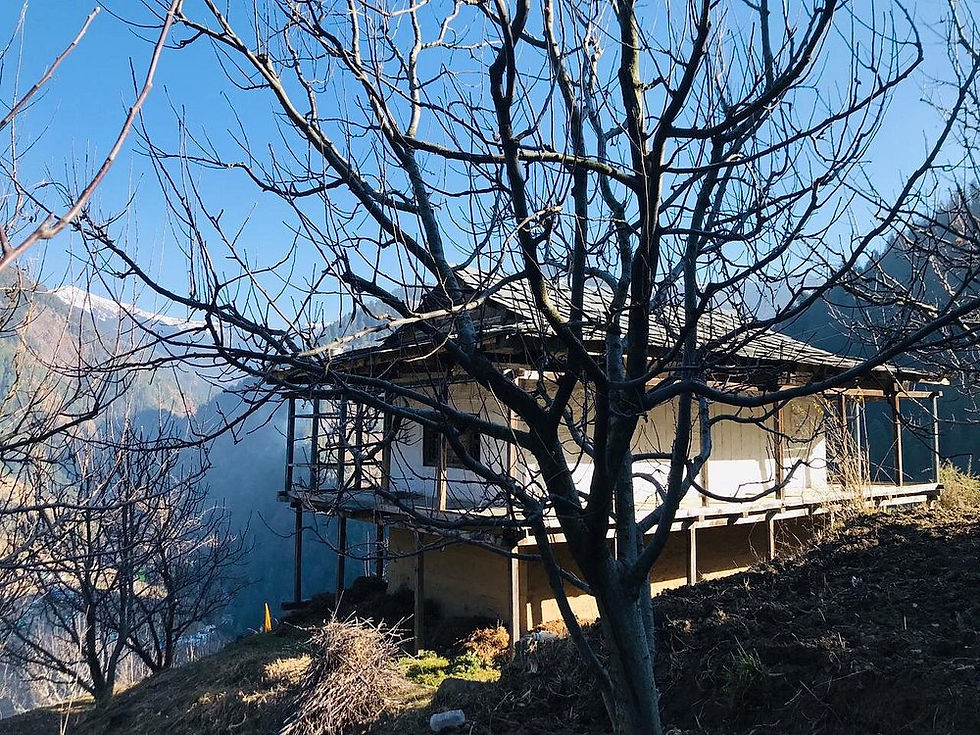 Himachal Tirthan Valley & Jibhi Package 3N/4D