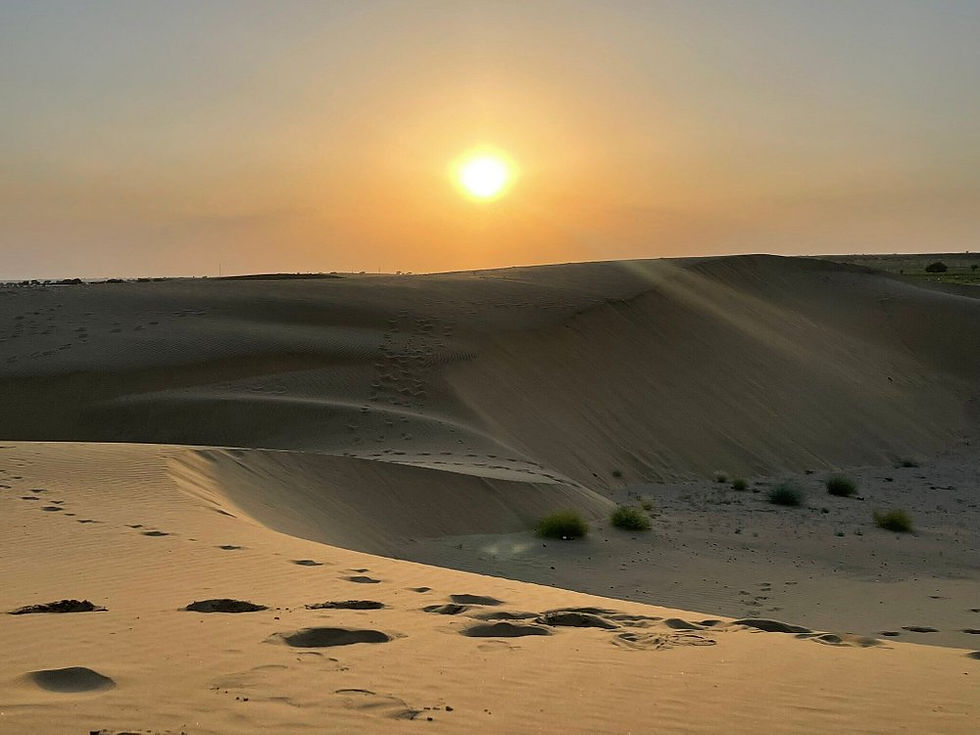 الصورة المصغرة: Rajasthan Regal Trails