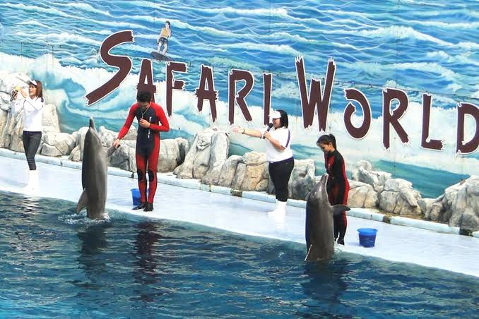 Imej kecil: safari world