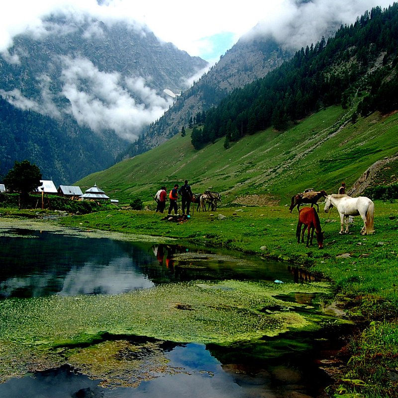 campsite sonmarg