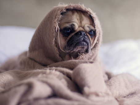 Post Holiday Magickal Slump?