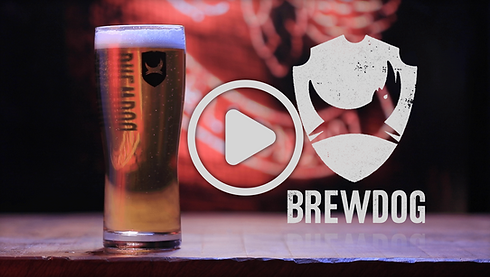 Red Frame Studios Promo Video