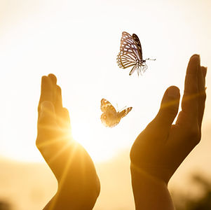 The girl frees the butterfly from moment Concept of freedom.jpg