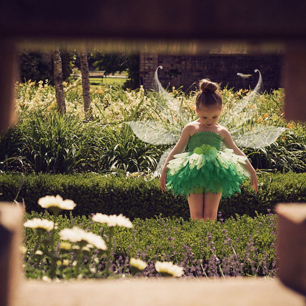 Tinkerbell Tutu Dress