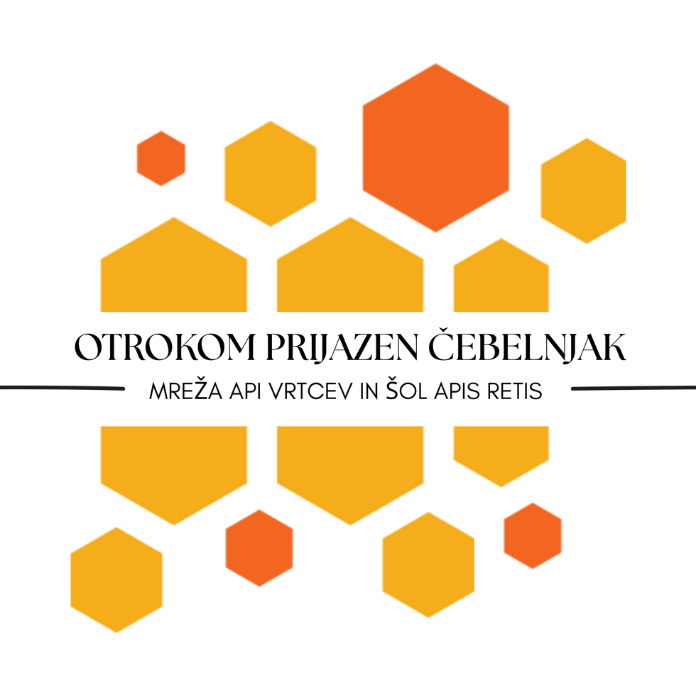 png transparent.png