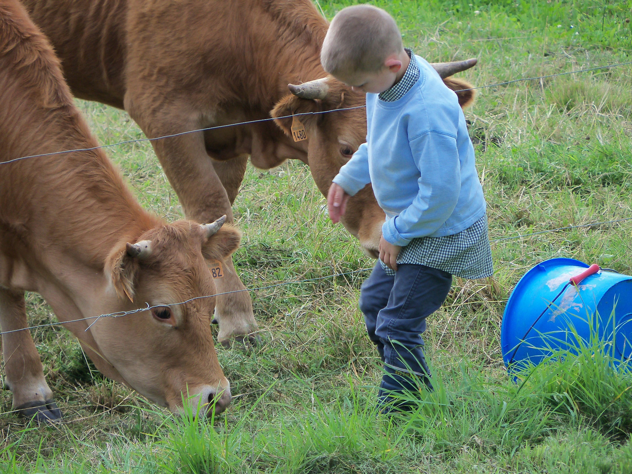 Colis Familial 12 kgs