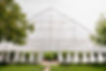 Greenhouse.jpg