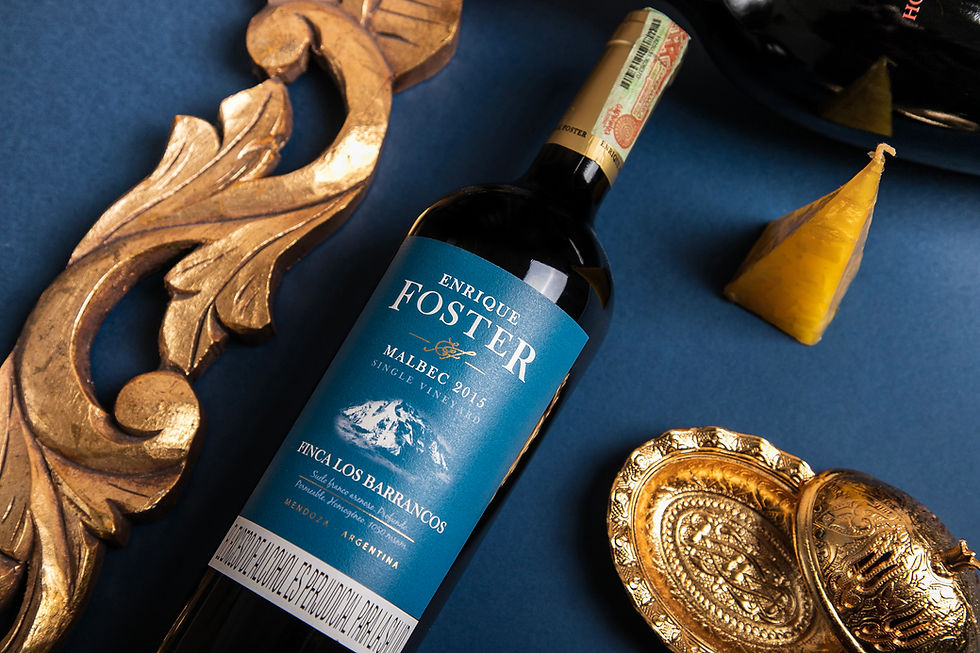 Miniatura: Enrique Foster Los Barrancos Malbec 2019