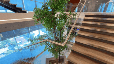 Diseño sin título33.gif