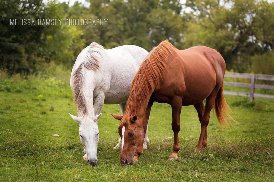 Rainn and Regal